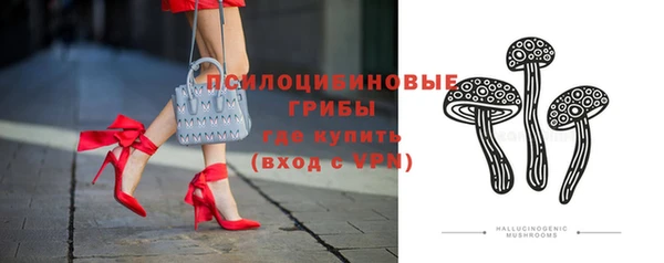 прущая мука Армянск