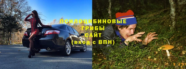 мяу мяу мука Аркадак
